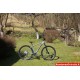 29 Cross GRX 8 51cm pilkas