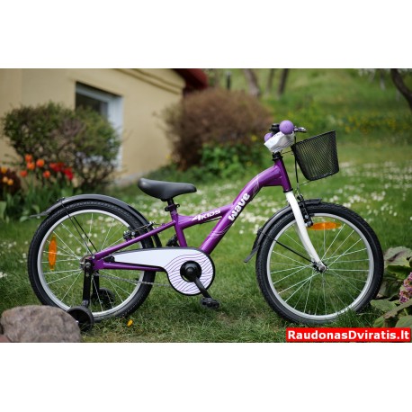 20 4Kids violetinis