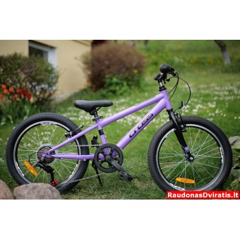 20 Cross Harmony violetinis