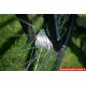 28 Romet Wagant 3 bronzinis