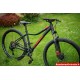 29 Unibike Move raudonas 17col