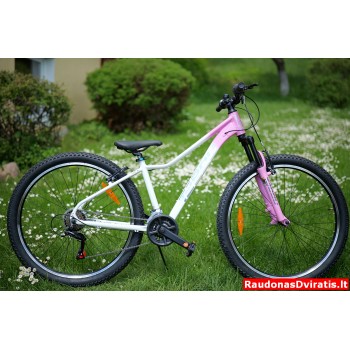 27 Tabou Venom 1.0 baltas
