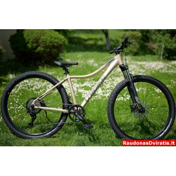 29 Unibike Move 17col sidabrinis