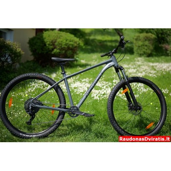 29 Merida Big.Nine 20 pilkas XL